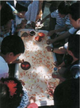 最優秀賞（厚生大臣賞）『縁日』