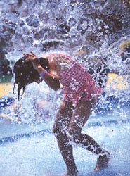 特別賞<br />日本水道工業団体連合会会長賞『水遊び』