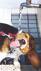 特別賞<br />水道産業新聞社社長賞『暑い日』