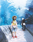 『水の中…？』