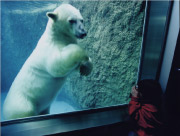 『チビッ子カメラマン』