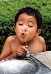 特別賞<br />給水工事技術振興財団理事長賞『おっとっと』