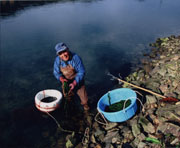 『清流青のり洗い』