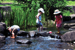 水と環境賞<br />日本水道協会会長賞『水あそび』