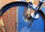 『都会のオアシス』