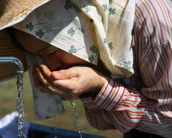 グランプリ（厚生労働大臣賞）『野良仕事を終えて』