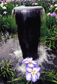 『浄水場に咲く』