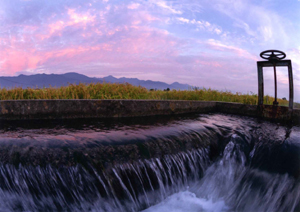 特別賞<br />全国簡易水道協議会会長賞『実りを支えて』