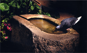 特別賞<br />水道技術研究センター理事長賞『水分補給』