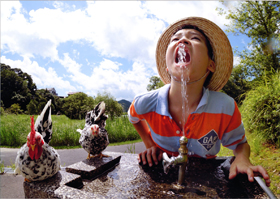 『夏休みの思い出』