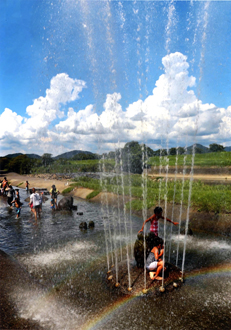 『夏のオアシス』