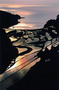 特別賞<br />全国簡易水道協議会会長賞『棚田の夕』