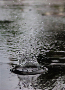 特別賞<br />水道技術研究センター理事長賞『雨日』