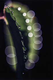 『日の出のときめき』