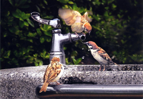 『うまかね～』