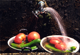 『夏の風物詩』