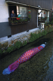 『鯉のぼり流しの里』