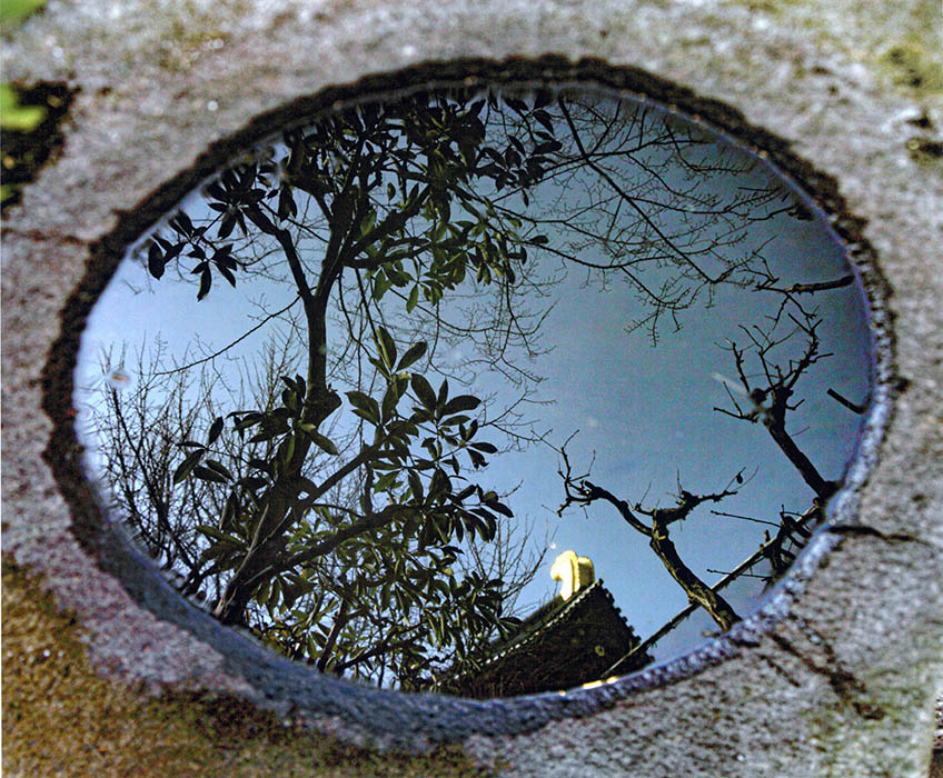 特別賞<br />水道技術研究センター理事長賞『手水鉢に写り込んだ木木』