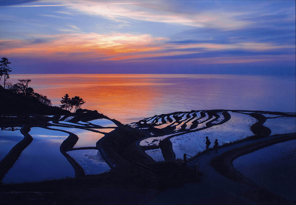 特別賞<br />全国上下水道コンサルタント協会会長賞『夕映え水鏡』