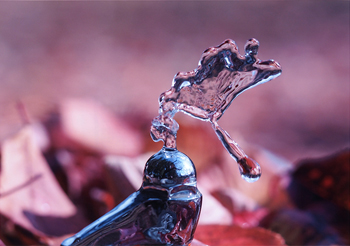 特別賞<br />日本水道協会会長賞『水の戯れ』