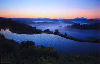 特別賞<br />全国簡易水道協議会会長賞『一枚田の朝』