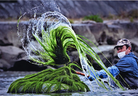 『早春の便り』