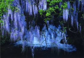 『静寂の流れ』