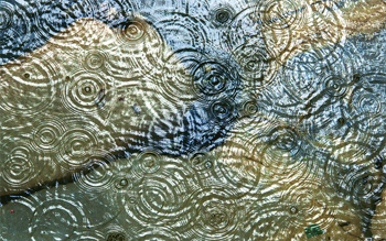 特別賞<br />水道技術研究センター理事長賞『雨粒』