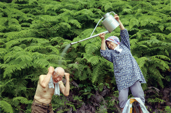特別賞<br />審査委員長賞『暑さをしのぐ』