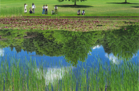 『湖面の初夏』