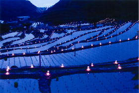 『しみじみと初夏』