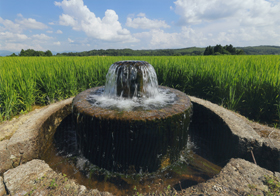 『田圃を守る分水栓』