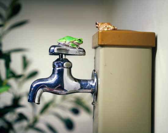 グランプリ（国土交通大臣賞）『猛暑日』