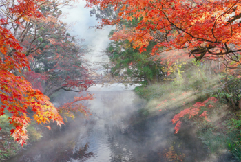 特別賞<br />全国簡易水道協議会会長賞『朝もやに包まれて』
