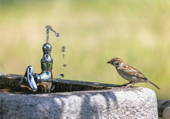 特別賞<br />給水工事技術振興財団理事長賞『どうやって飲もうかな！』