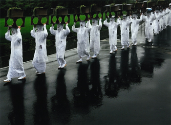 特別賞<br />審査委員長賞『雨の御田祭』