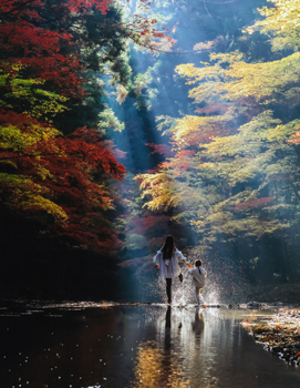 水道産業新聞社社長賞『秋を楽しむ』