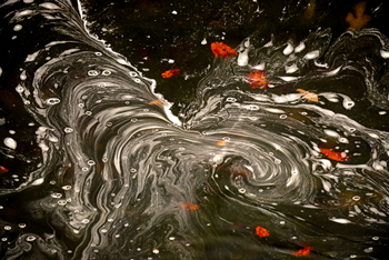 デジタル部門大賞『水面のオリオン星雲M42』