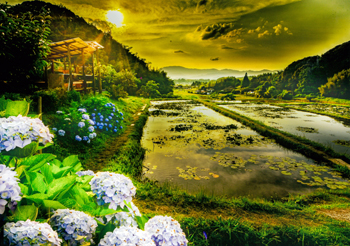 特別賞<br />全国簡易水道協議会会長賞『里山の休耕田』