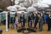 ｢水道事業のさらなる発展を｣／給水８０周年で記念植樹／盛岡市上下水道局