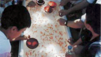 第４２回　入選作品