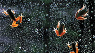 第５１回　入選作品