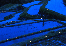 『水田の見廻り』