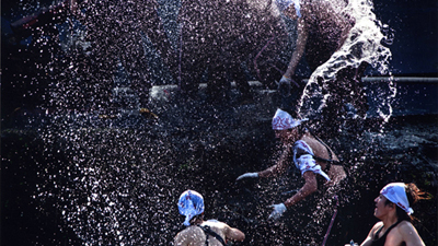 第５６回　入選作品