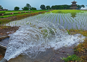 『豊作を願う』