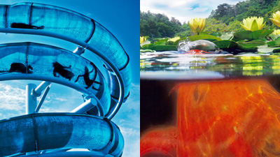 第６８回　入選作品